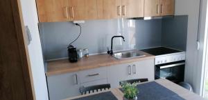 a small kitchen with a sink and a stove at Foivos Apartment in Komotini
