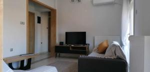 コモティニにあるFoivos Apartmentのリビングルーム(ソファ、薄型テレビ付)