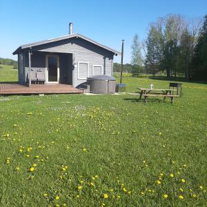 una mesa de picnic y un banco en un campo de flores en Purvēveri, en Tukums