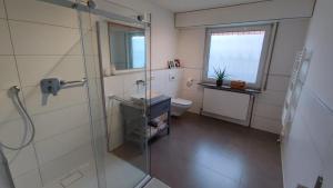 a bathroom with a shower and a sink and a toilet at Ferienwohnung Wendel in Sankt Wendel