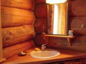 un bagno con lavandino in una baita di tronchi di Chalet chaleureux avec poêle à bois et internet à Saint-Martin-la-Sauveté - FR-1-496-184 a Saint-Martin-la-Sauveté