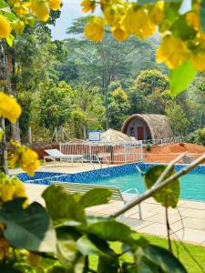 vistas a una piscina con un edificio con techo de paja en Historic Heaven wayanad en Vythiri