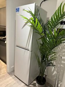 a white refrigerator in a kitchen with a potted plant at Entire Rental Unit in Kent in Kent