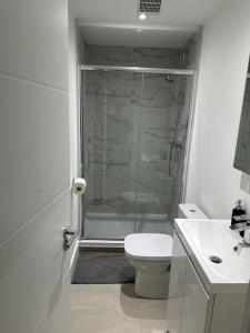 a bathroom with a shower and a toilet and a sink at Entire One Bedroom Rental Unit in Kent in Kent
