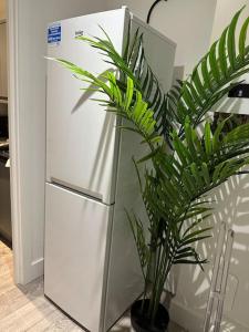 a plant in a pot next to a refrigerator at Entire One Bedroom Rental Unit in Kent in Kent