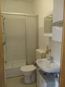 a bathroom with a shower and a toilet and a sink at Ferienwohnung Thüringer Wald in Ilmenau
