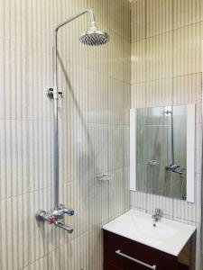 ein Bad mit einer Dusche, einem Waschbecken und einem Spiegel in der Unterkunft Venem Ensuite bathroom Elephant house in Kisongo