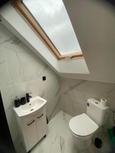 a bathroom with a toilet and a sink with a skylight at Noclegi Beskidzkie Stodoły in Odrzechowa