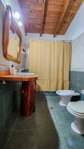 a bathroom with a sink and a toilet and a mirror at La gringa 1 in San Carlos de Bariloche