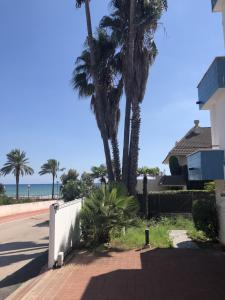 uma palmeira em frente a uma casa com a praia em Casa Vintage delante del mar para 15 huéspedes em San Vicente de Calders