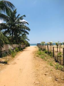 a dirt road leading to the beach with palm trees at Villa Moon breeze Nilaveli in Trincomalee