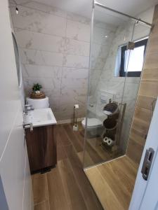 a bathroom with a shower and a sink and a toilet at Wine Valley Villas in Lipovac