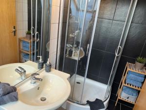 y baño con lavabo y ducha. en Ferienwohnung Harzliebe, en Bad Harzburg