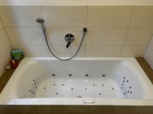 a bath tub with a shower in a bathroom at Landgasthof Waldeck in Stadtprozelten