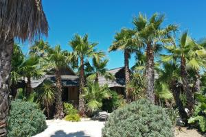 a house surrounded by palm trees on the beach at Kon Tiki in Saint-Tropez