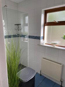 y baño con ducha, lavabo y espejo. en Apartment in milltown en Galway