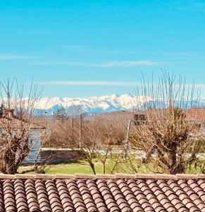 a view of snow covered mountains from a roof at LangAmore Appartamento in Bra