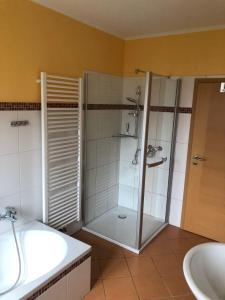 y baño con ducha y lavamanos. en Ferienwohnung Hubertus en Irsch