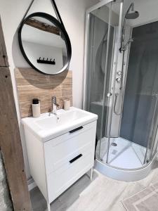 uma casa de banho com um lavatório branco e um espelho. em Appt dans maison typique avec jardin privé em Chinon