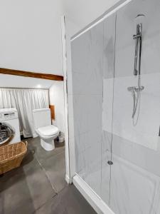 ein Badezimmer mit Dusche und Toilette in der Unterkunft Charme Stéphanois Centre historique et stade G Guichard in Saint-Étienne