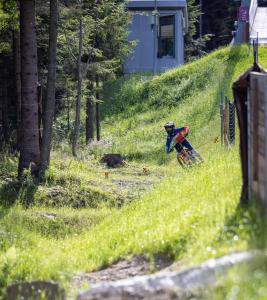 una persona montando una moto de tierra por una colina en WeiXL Schi&Bike Appartements-Bike in&Bike out neben Wexl Trails Bikepark, en Sankt Corona am Wechsel