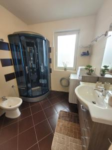 a bathroom with a shower and a toilet and a sink at Apartament Eva in Râşnov