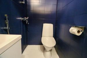 Koupelna v ubytování Kopsamonlinna