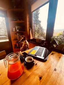 a table with a laptop and a cup of coffee and a dog at Willa Karolinka Stróża - Pet Friendly in Myślenice