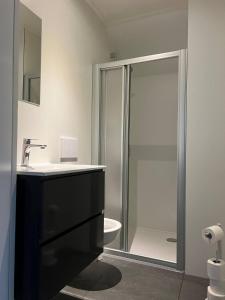a bathroom with a shower with a sink and a toilet at Appartement met prachtig uitzicht over de binnenstad van Leeuwarden in Leeuwarden