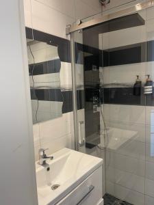 a bathroom with a sink and a shower at Düs Apartment 2 in Düsseldorf
