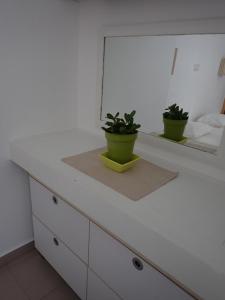 deux plantes en pot assises sur un comptoir dans une pièce dans l'établissement Great value 5 mins to Praia de Rocha beach, à Portimão