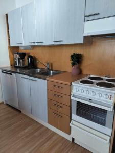 uma cozinha com um fogão branco e um lavatório em Matintalo em Ylivieska