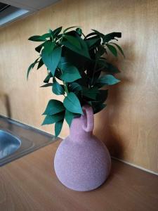 a purple vase with a plant in it on a counter at Matintalo in Ylivieska