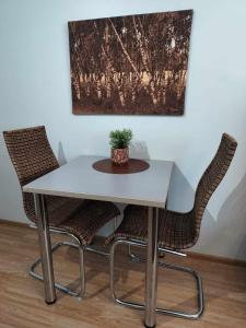 a table and two chairs with a potted plant on it at Matintalo in Ylivieska