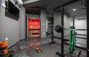a fitness room with a treadmill and a gym at Gorgeous Home In Novalja With Wifi in Novalja +23 photos
