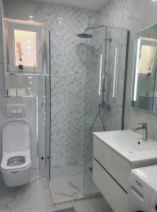 a bathroom with a shower and a toilet and a sink at Vini Apartments in Zagrađe +15 photos