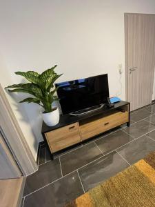 a living room with a tv and a potted plant at Luis Zimmer Wohnung Rüsselsheim O1 in Haßloch