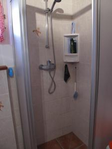 eine Dusche im Bad mit einem Waschbecken und einer Dusche in der Unterkunft Mayen de Planraveire in Orsières