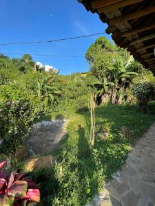 a garden with trees and plants and a pathway at Vista hermosa in Anserma