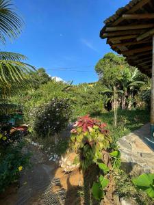 einen Garten mit Pflanzen und Bäumen auf einem Hügel in der Unterkunft Vista hermosa in Anserma