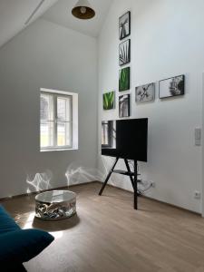 una sala de estar con un piano y un bol en el suelo en Haus Fünf mit 2 Apartments und Studio-Loft mit Terrasse en Melk