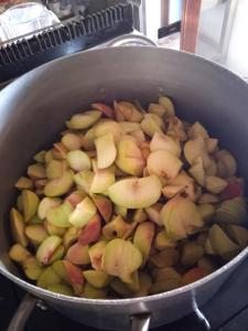 um pote cheio de maçãs sendo cozido em um fogão em Locanda dell'Amicizia em Seccheto