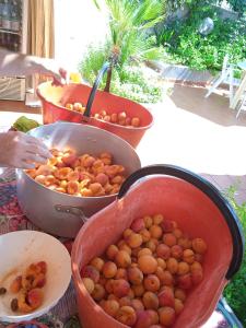uma mesa coberta com baldes de batatas numa mesa em Locanda dell'Amicizia em Seccheto