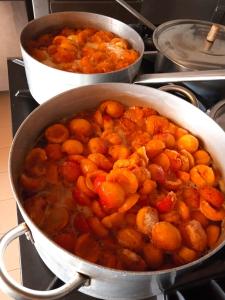 a pot of food on top of a stove at Locanda dell'Amicizia in Seccheto