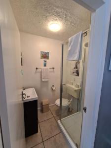 a bathroom with a shower and a toilet and a sink at Beachdene Guest House in Skegness