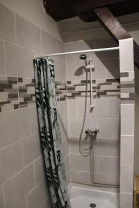 een badkamer met een douche en een douchegordijn bij proche gare et centre-ville, parking gratuit et facile, wifi in Châlons-en-Champagne