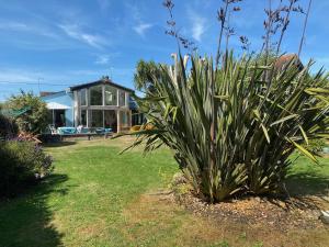 una grande pianta di fronte a una casa di Primrose Cottage a Emsworth