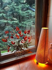 una ventana con un jarrón con una planta delante de una ventana en Willa Karolinka Stróża - Pet Friendly, en Myślenice
