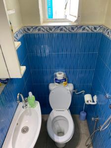 ein blau gefliestes Bad mit WC und Waschbecken in der Unterkunft Tunis Lafayette in Tunis