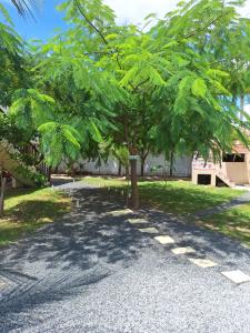 uma árvore no meio de uma estrada de cascalho em Pousada Casa du Soleil Camocim em Camocim